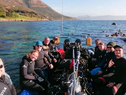 Dive Team