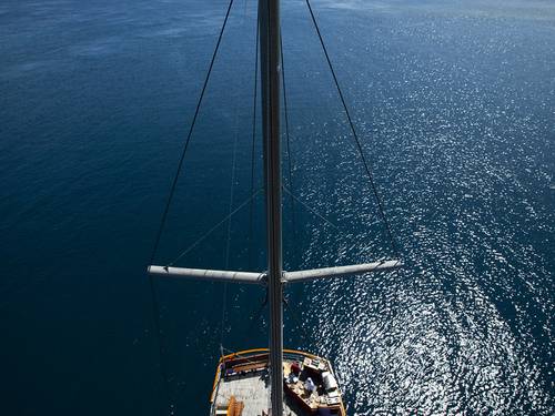 Tui Tai