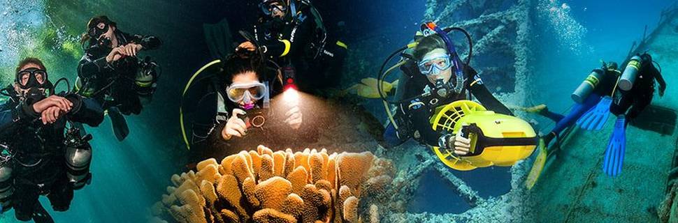5* Padi IDC Resort IDS Aalst