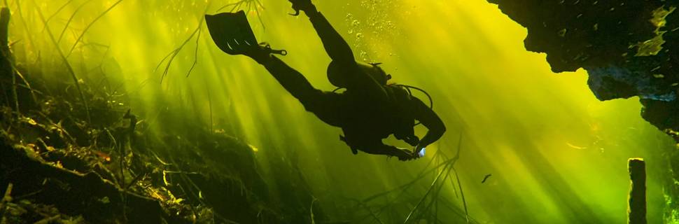 Diveworld