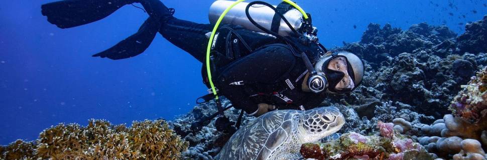 Trawangan Stingray Divers