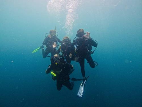 Dive Base Coiba