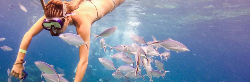 Passion Paradise Adventures Scuba Diving & Snorkeling Day Tours