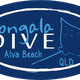 Yongala Dive