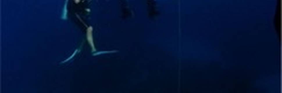 Blue Water Divers