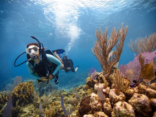 Aqua Dive & Water Sports