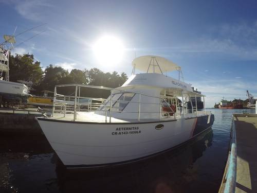 Isla Catalina Diving