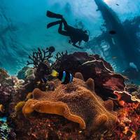 Fisheye Divers Boracay