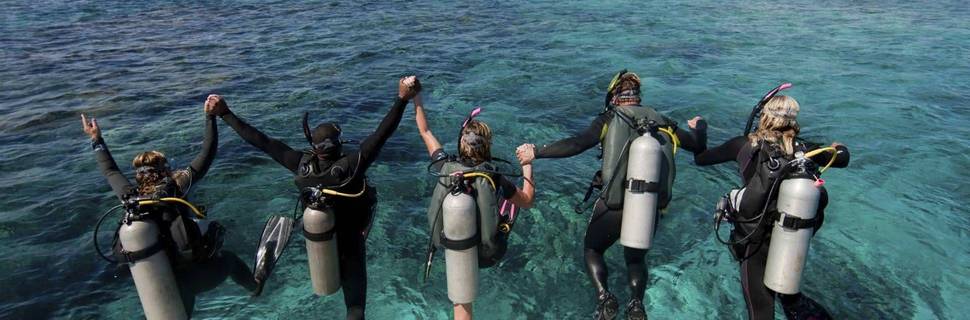 A-1 Scuba Diving & Snorkeling Adventures