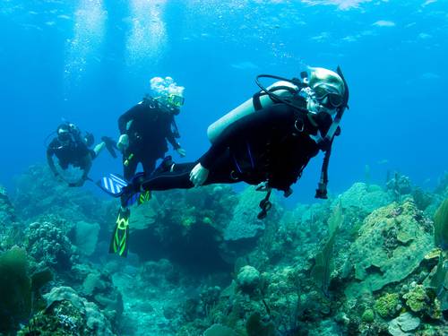 Cha Cha Cha Dive Shop
