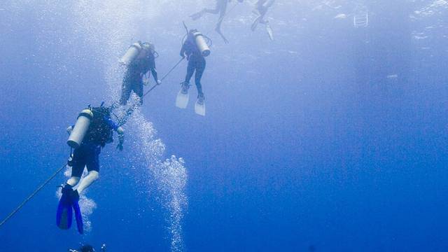 Tenggol Coral Dive Resort