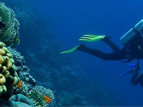 Dahab Divers Lodge - Padi 5* dive centre Dahab