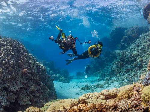 Dive In Sharm