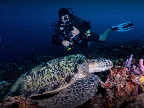 Meno Dive Club