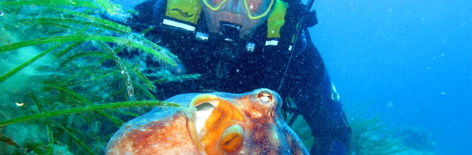 Nautilus Diving School