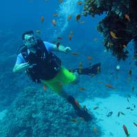 Tauchen Marsa Alam - Deutsche Tauchschule von Padi, Cmas, Ssi.