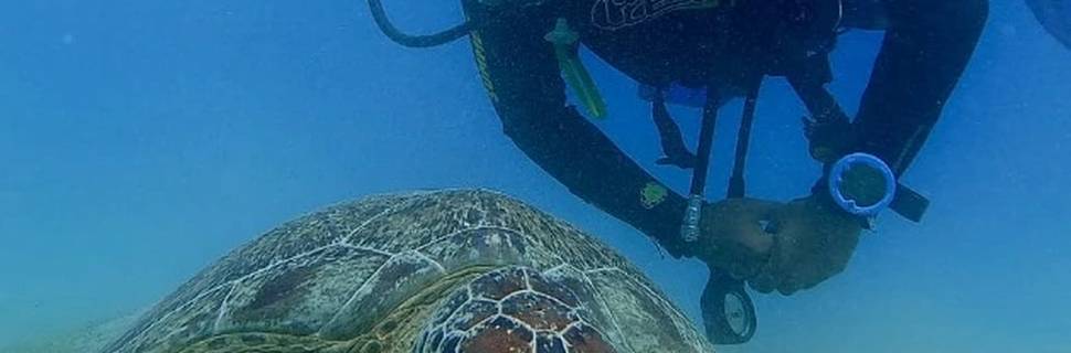 Blue Sea Diving Center