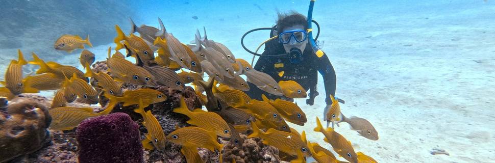 XICO DIVE CENTER