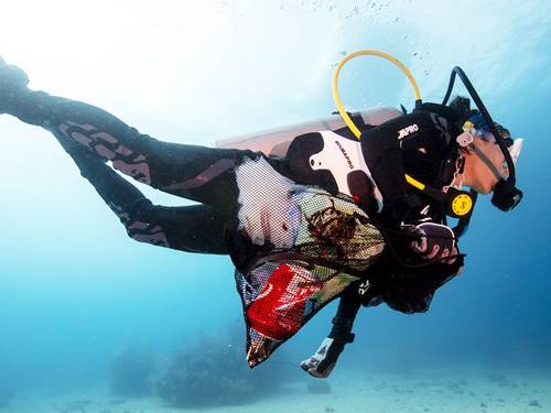Forster Dive Centre