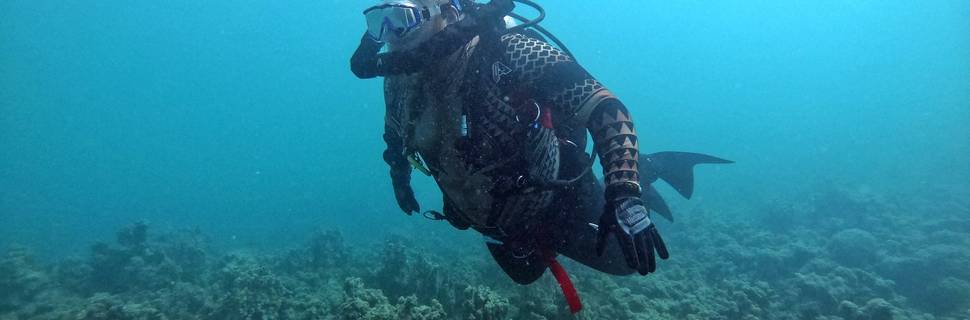 New Way Diving & Sea Tours