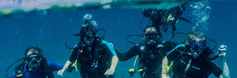 Sea Hawk Divers
