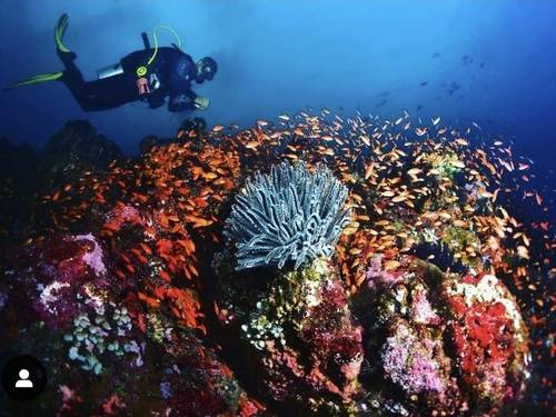 Sea Safari Diving Centre