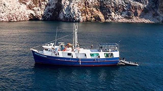 Quino Del Mar