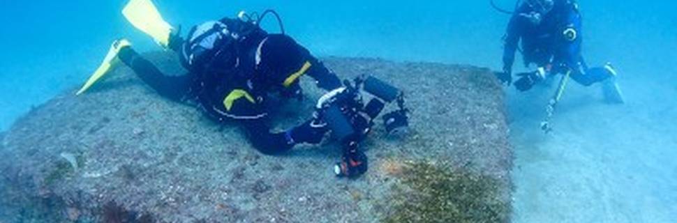 DIVING PRO SHOP TAKE SEA
