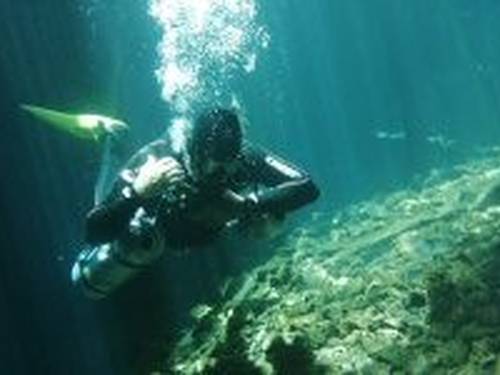 Diving Yucatan