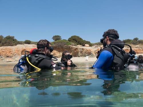 Aqualized Dive Adventures