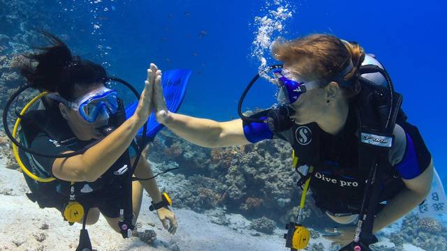 Dive Pro Academy Belgium