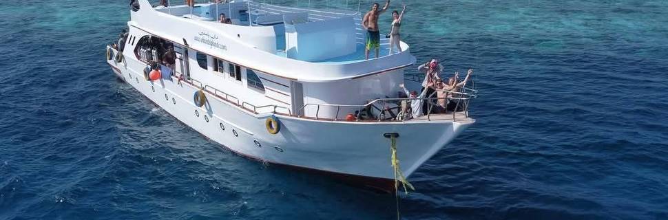 White Dolphin Diving Center - PADI Dive Resort / Tauchen in Hurghada