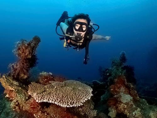 Diving with Jim