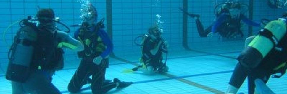Les Requins Marteaux