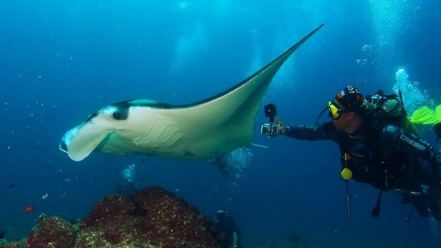 Niva Dhigali Maldives