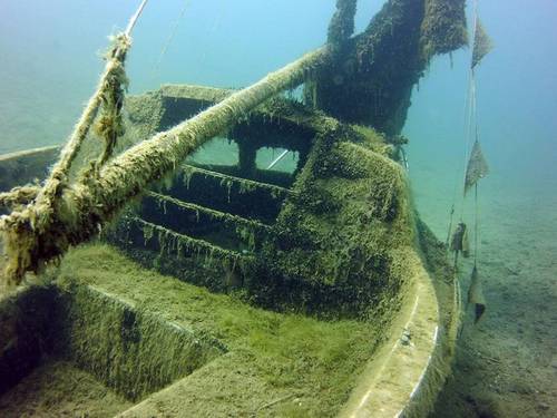 Dive College Hamburg