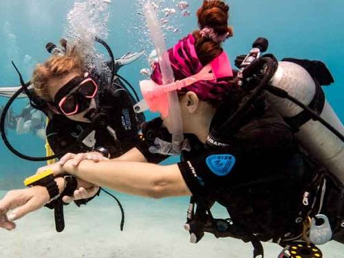 Utila Dive Centre