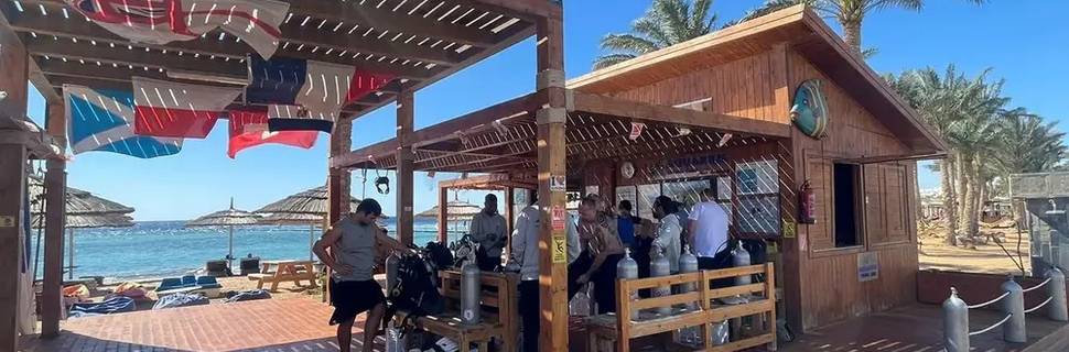 Aquarius Diving Club - Sharm