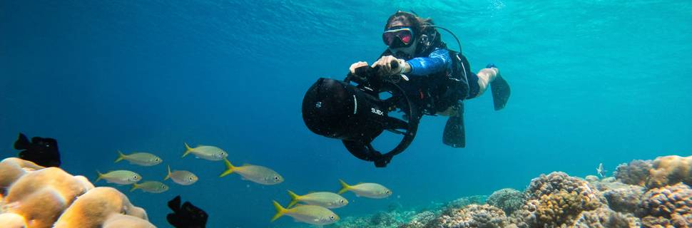 Velaa Private Island Dive Center