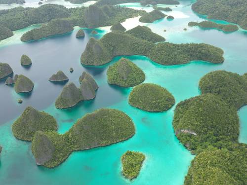 Olin Dive Center Raja Ampat