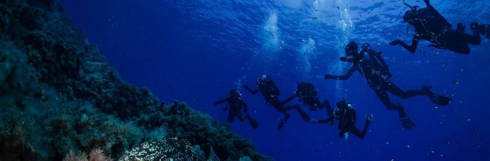 I Sette Mari Tech Dive