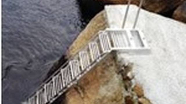 KAJIKA DIVING SERVICE