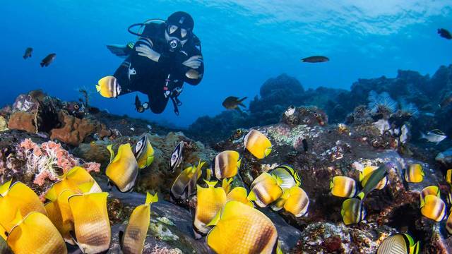 Let's Dive Tulamben