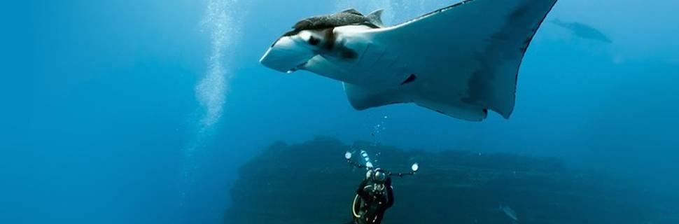 Divers Pro World GmbH