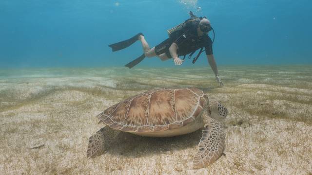 Aquanauts Dive Adventures