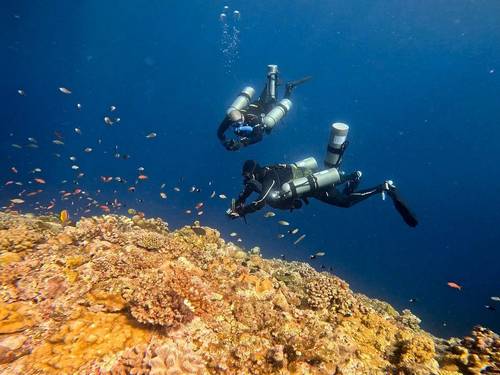 Pinnacle Diving Company