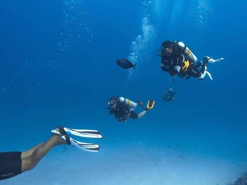 ACQUA ADVENTURES RASDHOO | DIVING & EXCURSIONS