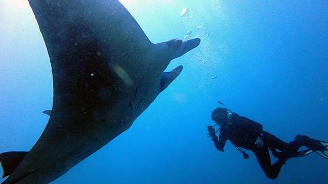 Bali View Dive Center