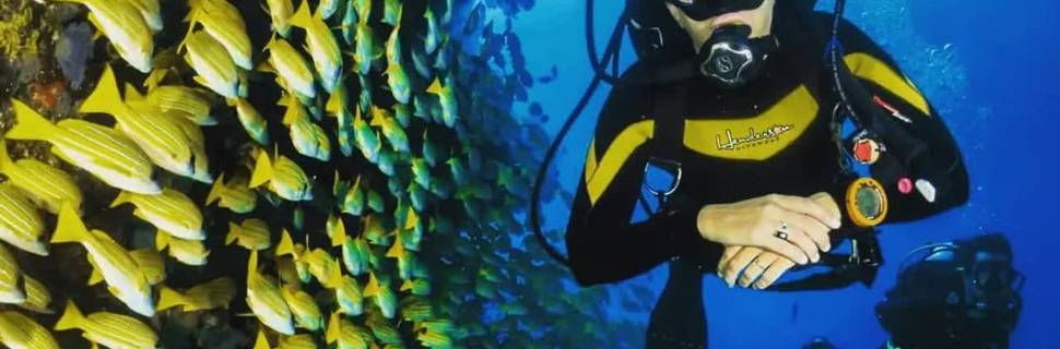 Divers Paradise Komodo
