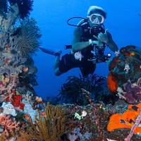 TAGAROA DIVE CENTER